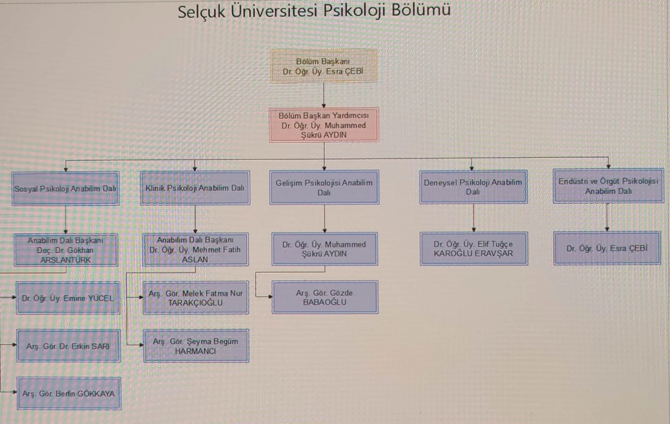 Organizasyon Şeması